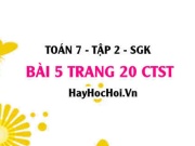 Bài 5 trang 20 Toán 7 Tập 2 Chân trời sáng tạo